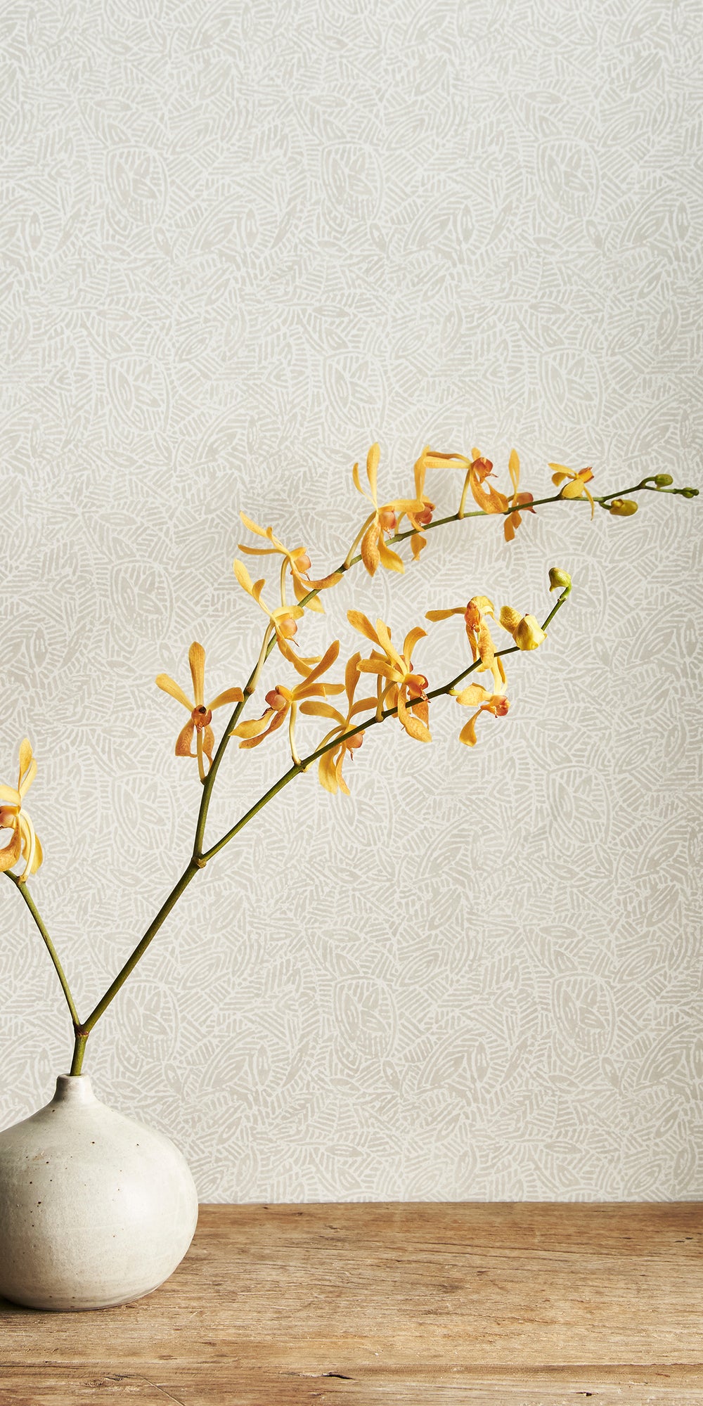 Meiro Limestone Wallpaper in - Wallpaper - Walter G Australia